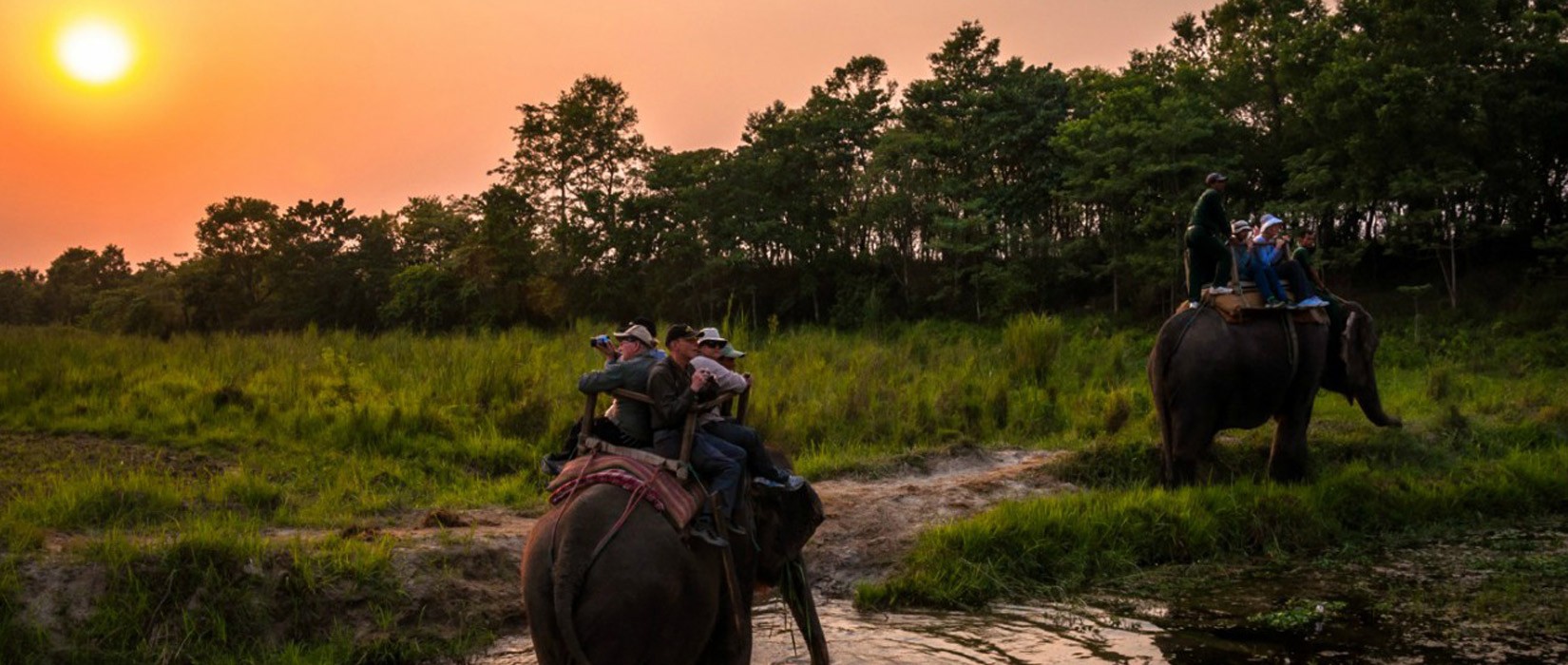 Chitwan Jungle Safari, Sauraha