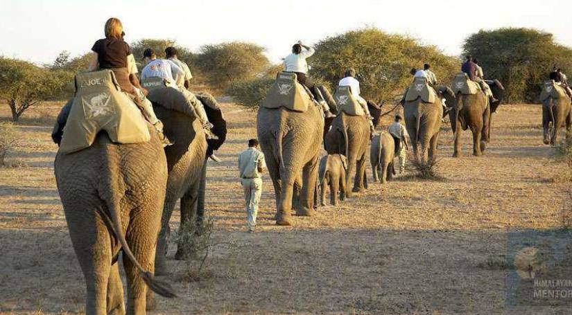 Bardia National Park Wildlife Tour