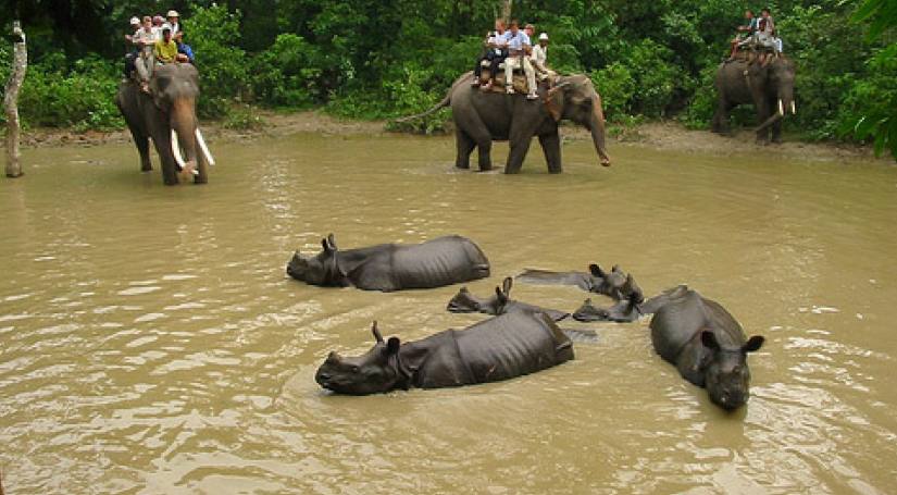 Chitwan National Park Wildlife Tour