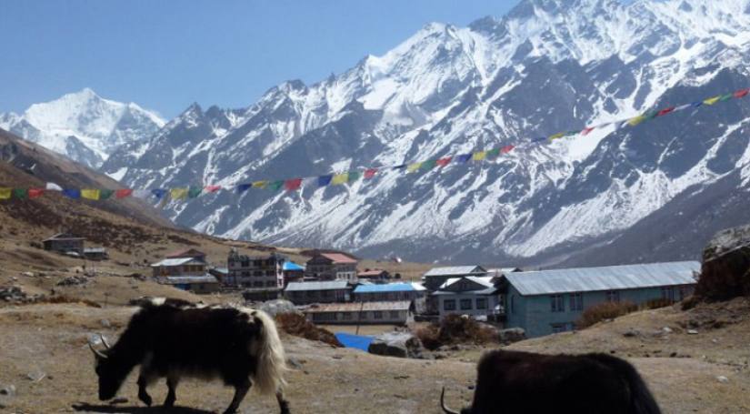 Langtang Valley And Gosainkunda Lake Trek