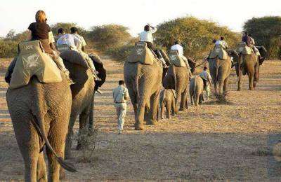 Bardia National Park Wildlife Tour