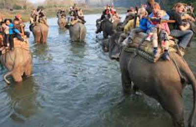 Chitwan National Park Wildlife Tour